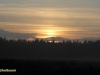 LUCHTFOTO