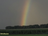 REGENBOOG