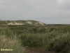 DE BOSCHPLAAT