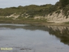 LEEFGEBIED VAN HET WILDE PAARD