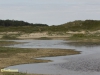 LEEFGEBIED VAN HET WILDE PAARD