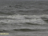 NOORDZEE