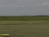 VLAKGEDEELTE ACHTER DE WADDENZEE DIJK