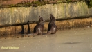 VISOTTER 2021